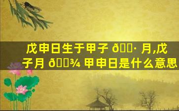 戊申日生于甲子 🕷 月,戊子月 🌾 甲申日是什么意思
